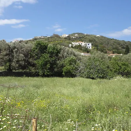 Апартаменты Wonderful View. Rogon
